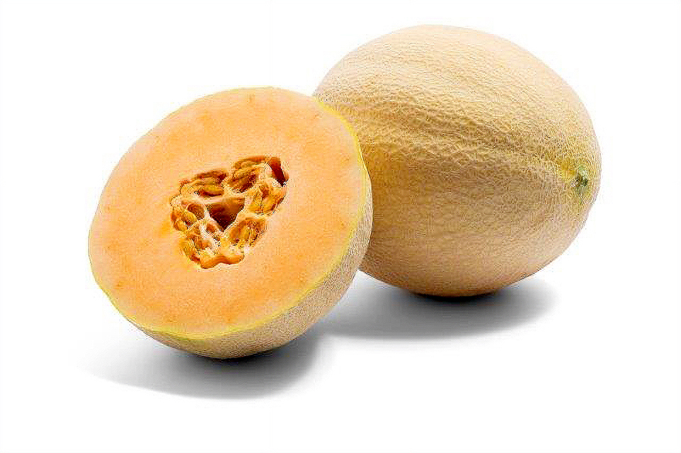 Pearlina Melon, ‘Pioneer Pearl’: Vibrant Color and Flexible Harvest Timing