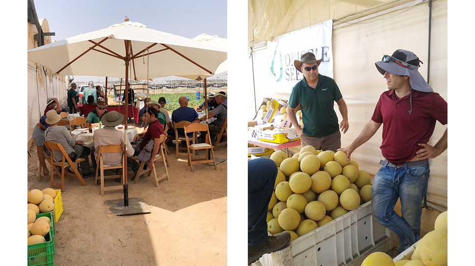 Arave Open Field Day - September, 2019, Arava, Israel