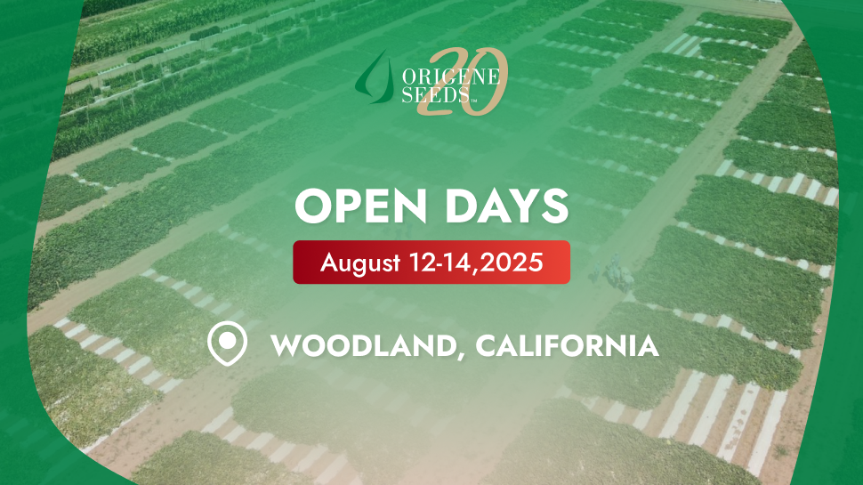 OriGene Seeds – Woodland Open-Field Days, August 2025 | California