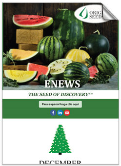 ENEWS THE SEED OF DISCOVERY - English