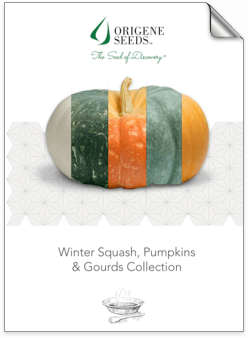 Origene Seeds Pumpkins brochure