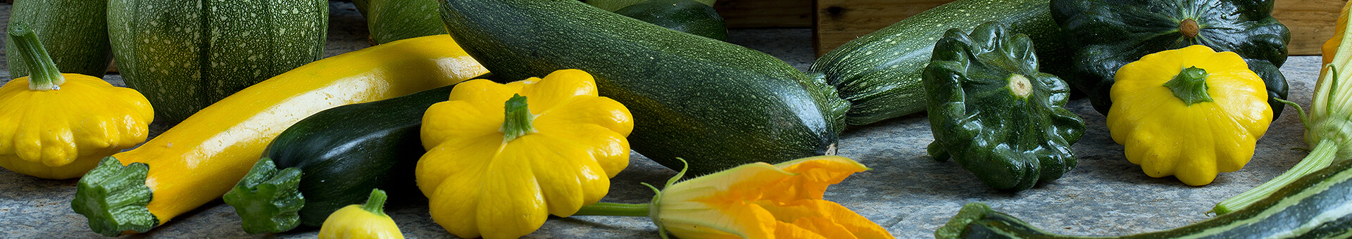 Bring the sun to your taste buds with a great zucchini soup