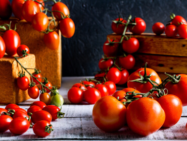 Tomato Collection