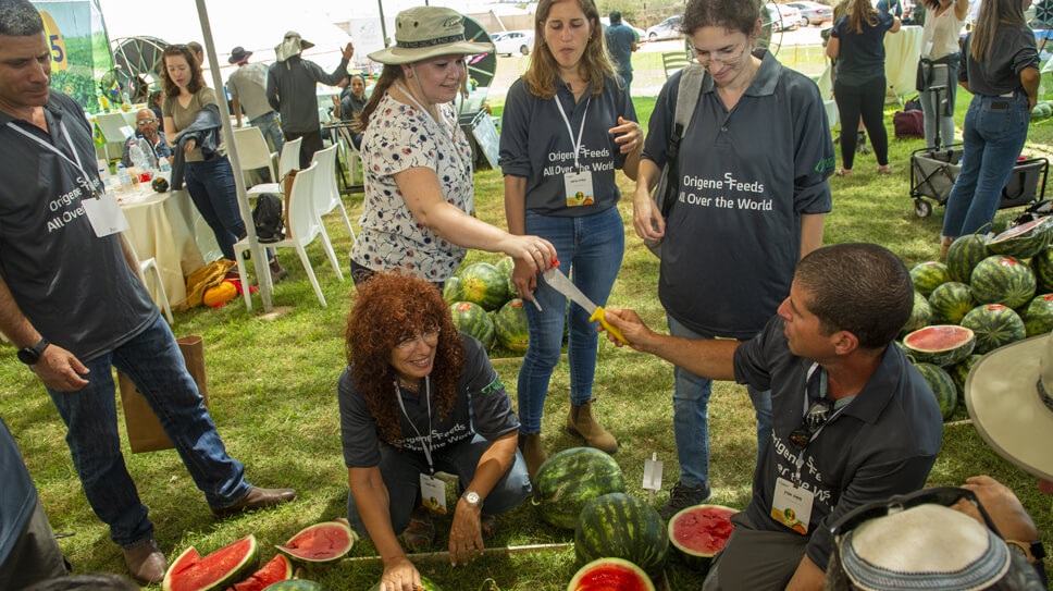 Open Field Day – 2021, Bnei Darom, Israel