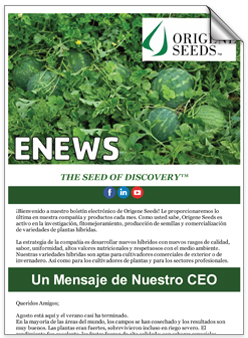 ENEWS THE SEED OF DISCOVERY - Spanish