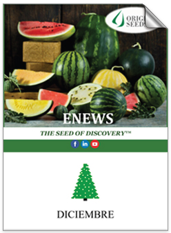 ENEWS THE SEED OF DISCOVERY - Spanish