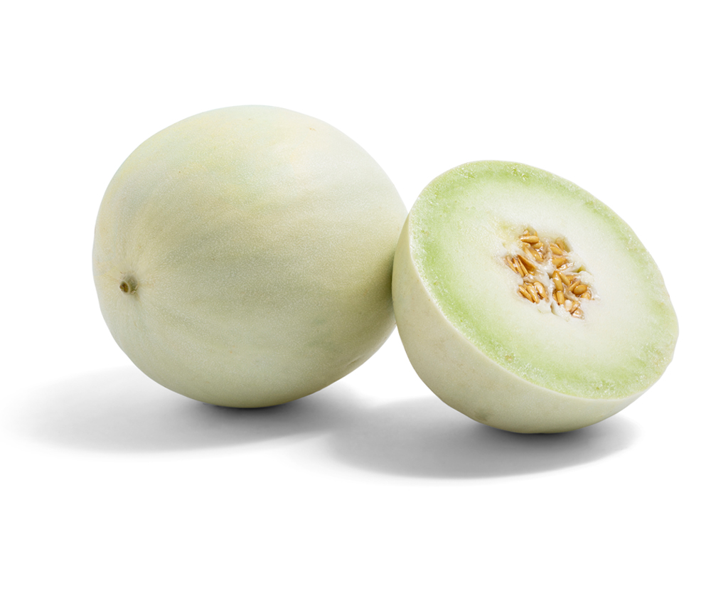 Melon Honey Dew – Weston seed