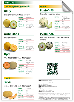 USA Mexico Spanish Brochure June 2025