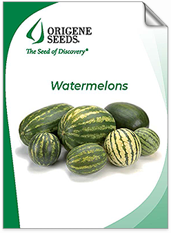 Origene Seeds Watermelons brochure
