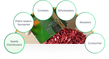 Seeds Distributers