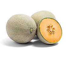 Cantaloupe