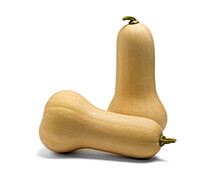 Butternut