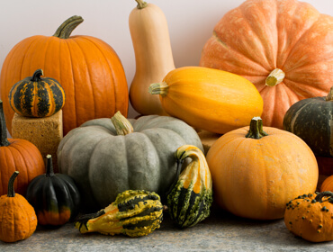Pumpkins & Gourds Collection
